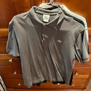Lacoste polo, Size 6. Barely worn